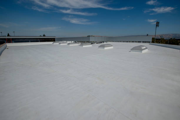 Best Roof Maintenance and Cleaning  in Lakes Of The Four Seasons, IN